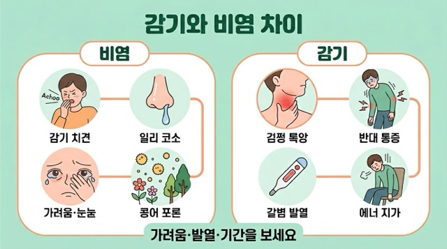 감기와 비염 증상 구별법 콧물 재채기 발열 몸살 차이