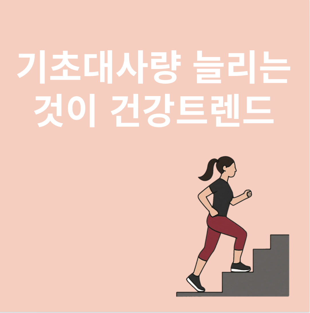 기초대사량 늘리기와 관련된 이미지