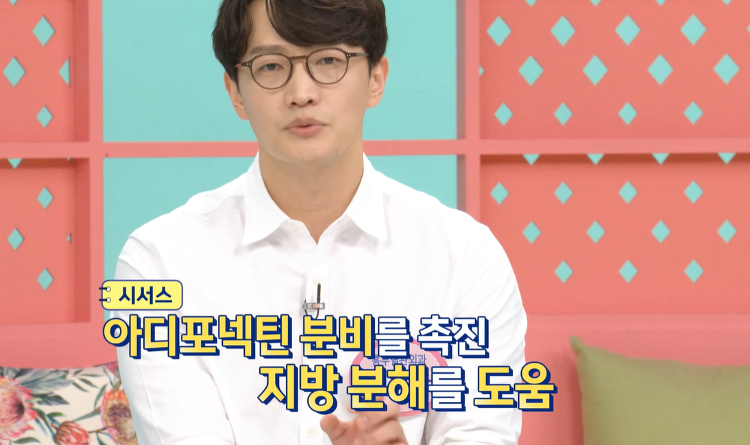 시서스 효능