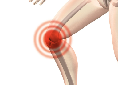펠루비정 관절염 효과