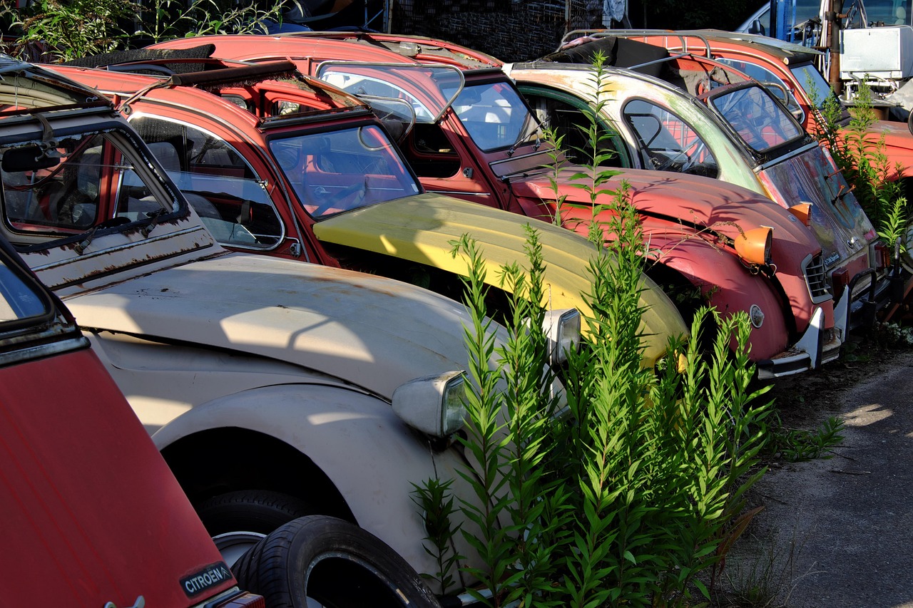 노후차 조기폐차 지원금: 환경도 살리고, 새 차 구매 부담도 줄이자!