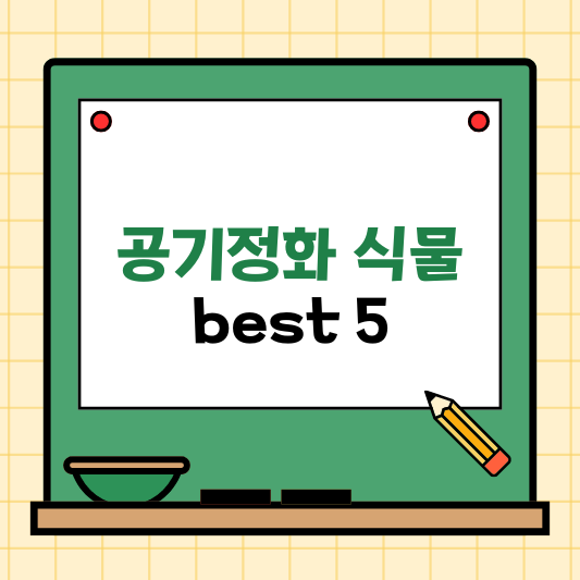 공기정화 식물 best 5, 인기순 10가지 총정리