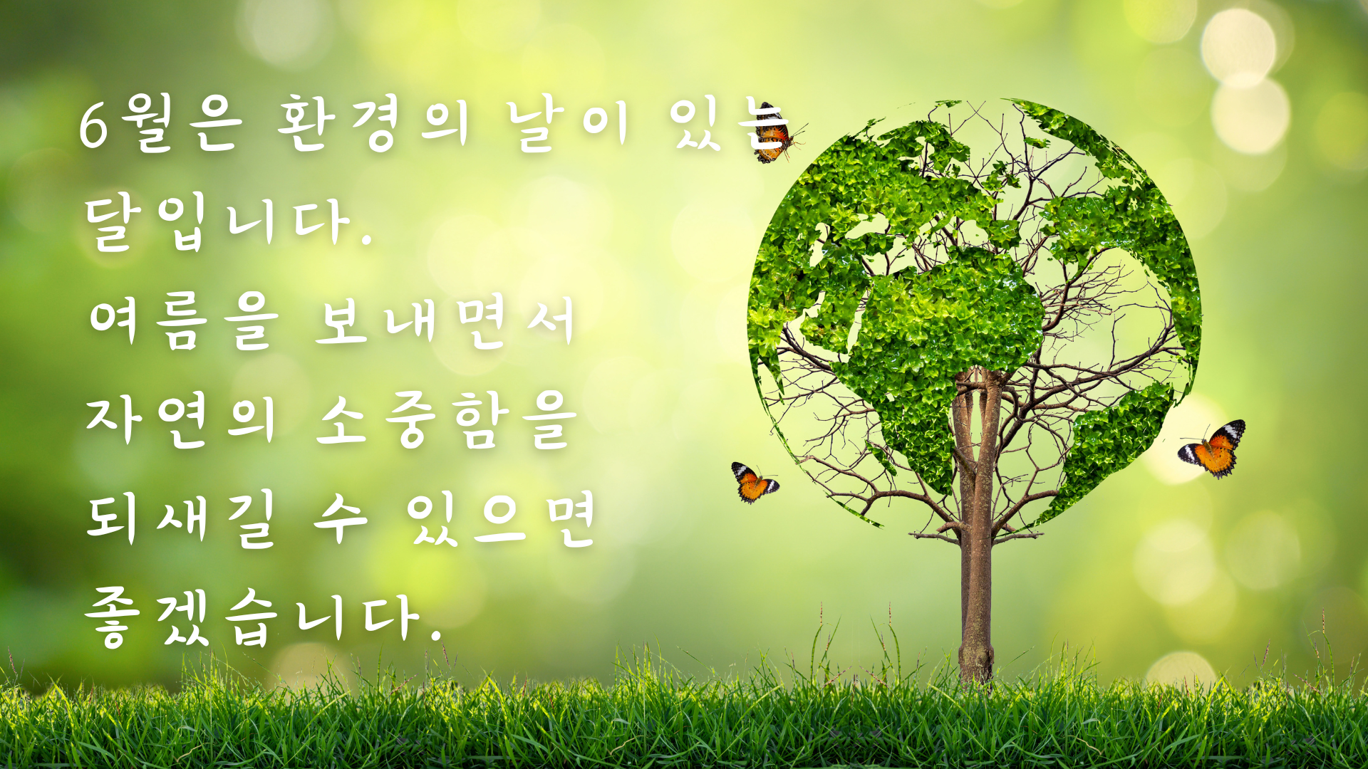 여름철 인사말 문구 안부 메세지 이미지