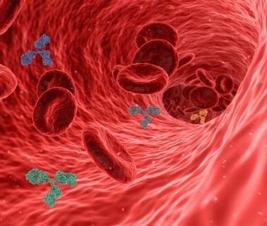 면역력을 높이는 생활습관