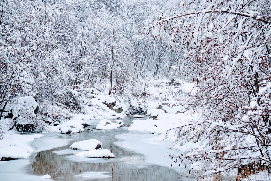강원도 대 제주 겨울 여행: 눈꽃, 액티비티, 숙박