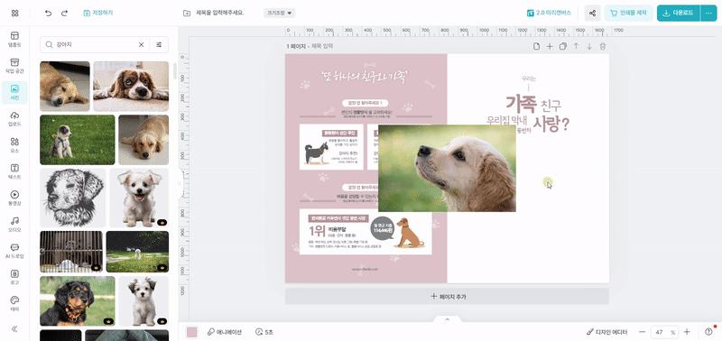 배경 제거 기능 사용법