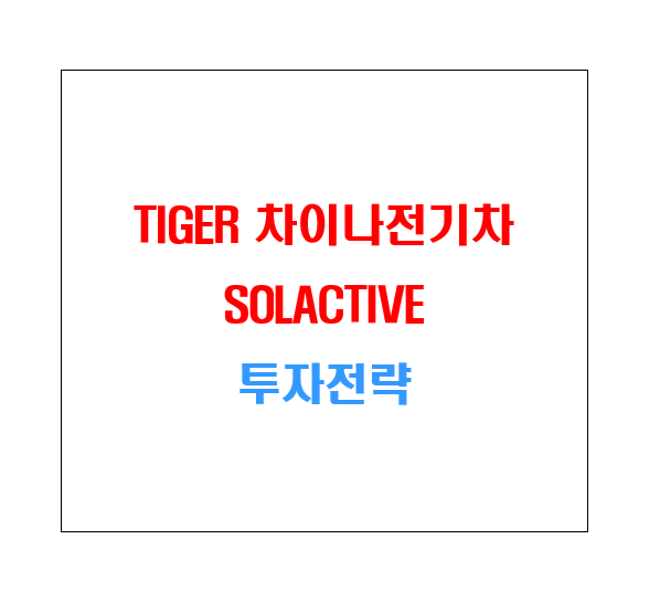 TIGER 차이나전기차 SOLACTIVE ETF 투자전략