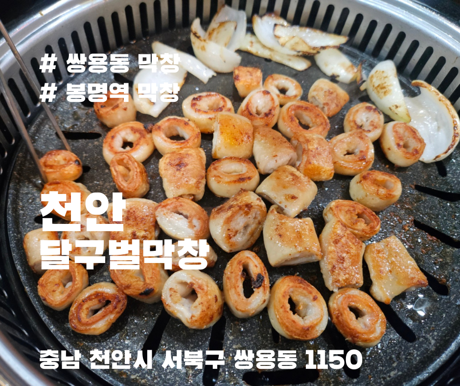쌍용동 막창 맛집, 달구벌막창 후기 - 쫄깃한 막창과 맛있는 반찬!