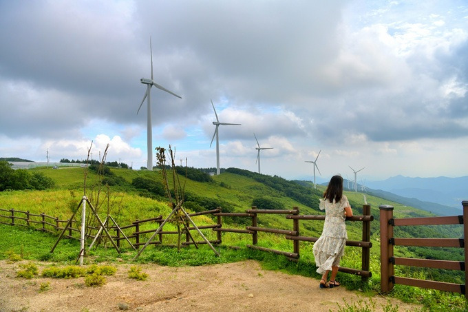평창 육백마지기 가는 길, 입장료, 차박