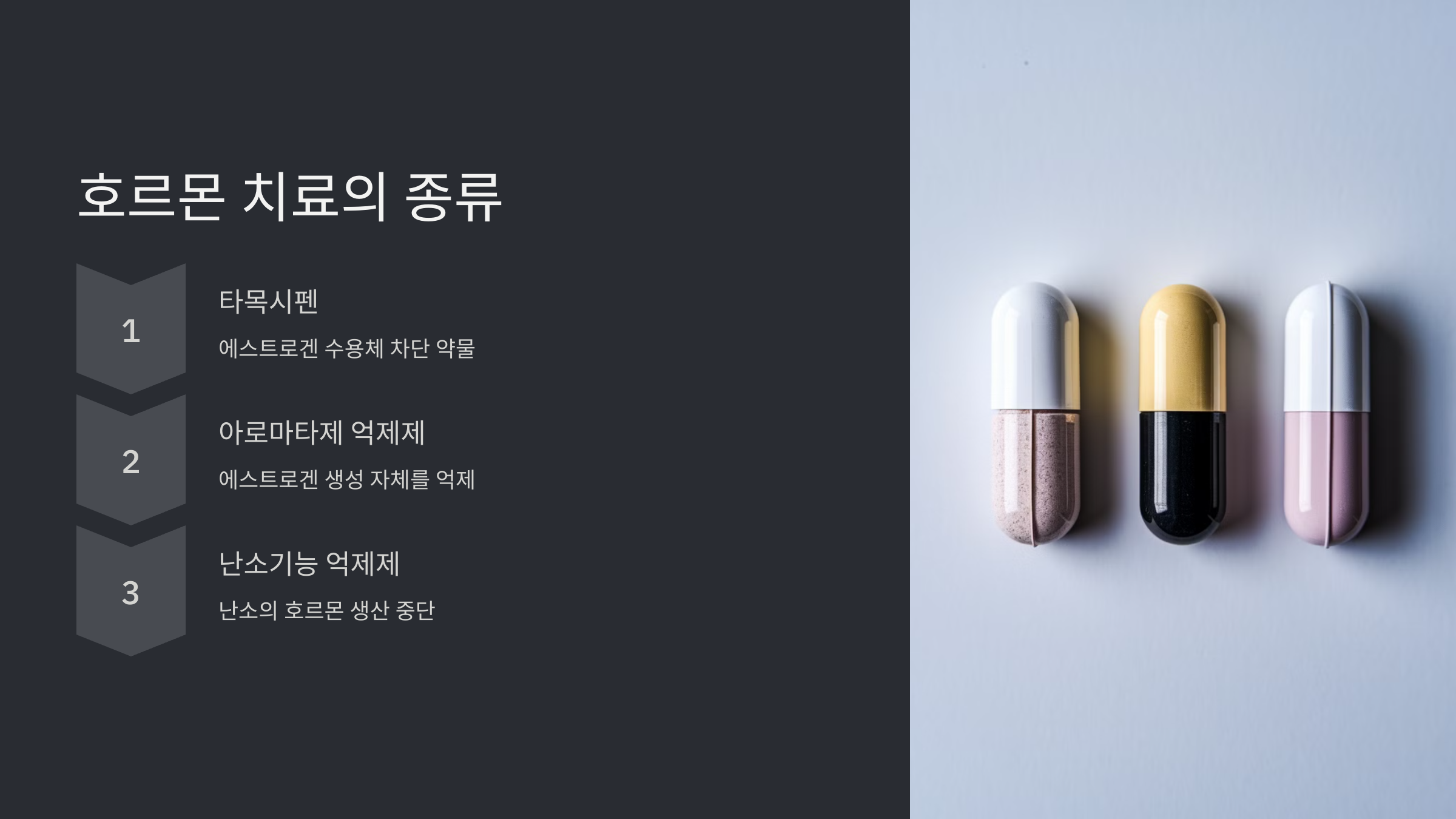 호르몬 치료의 종류