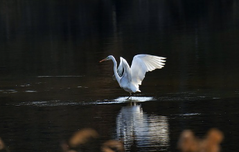 호남선-ktx열차시간표