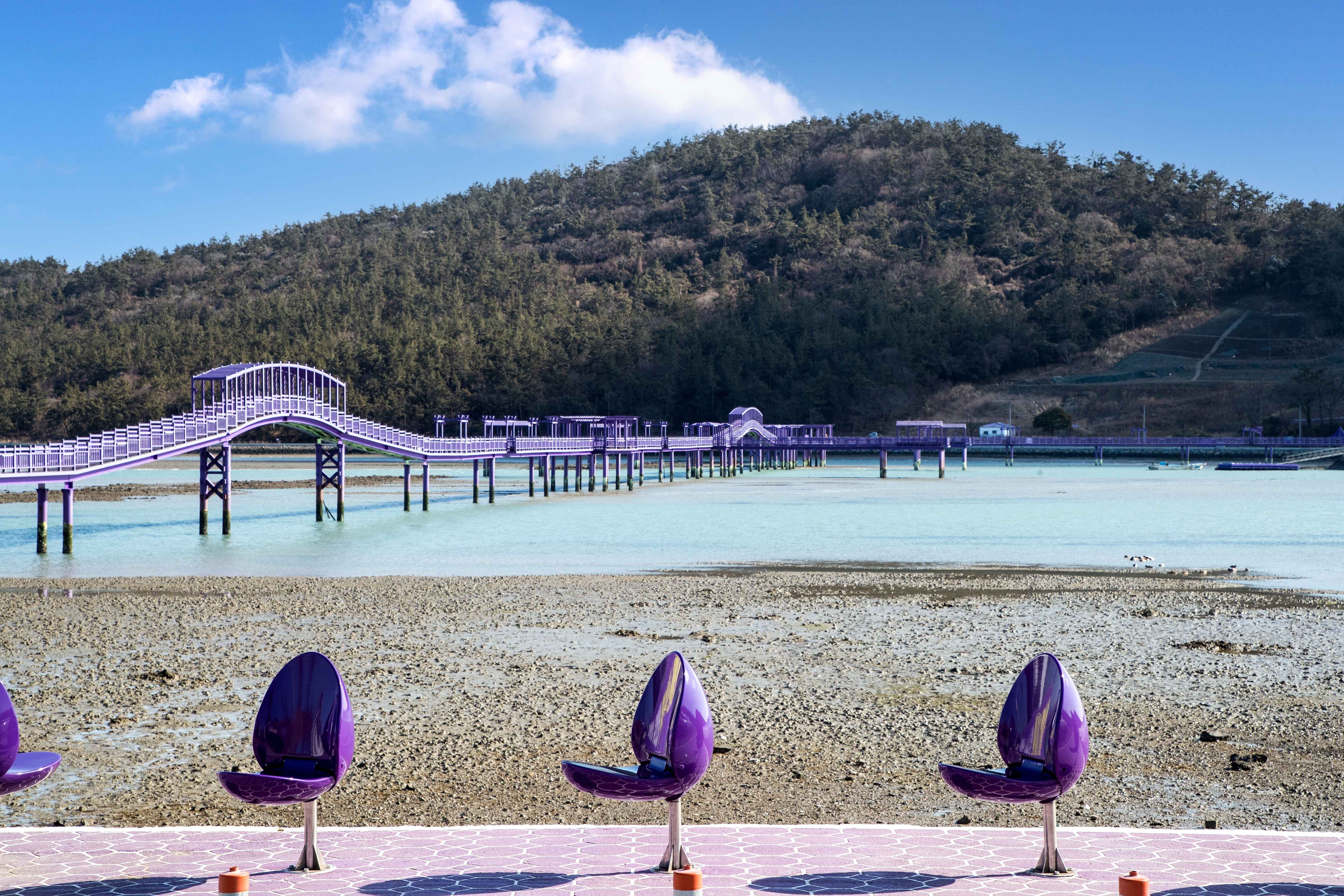 신안 퍼플섬과 퍼플교 사진