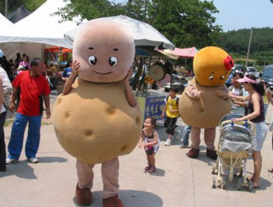 서산 팔봉산 감자축제 일정 장소 공연 체험