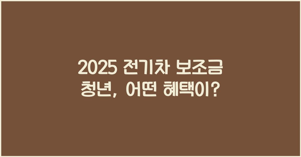 2025 전기차 보조금 청년