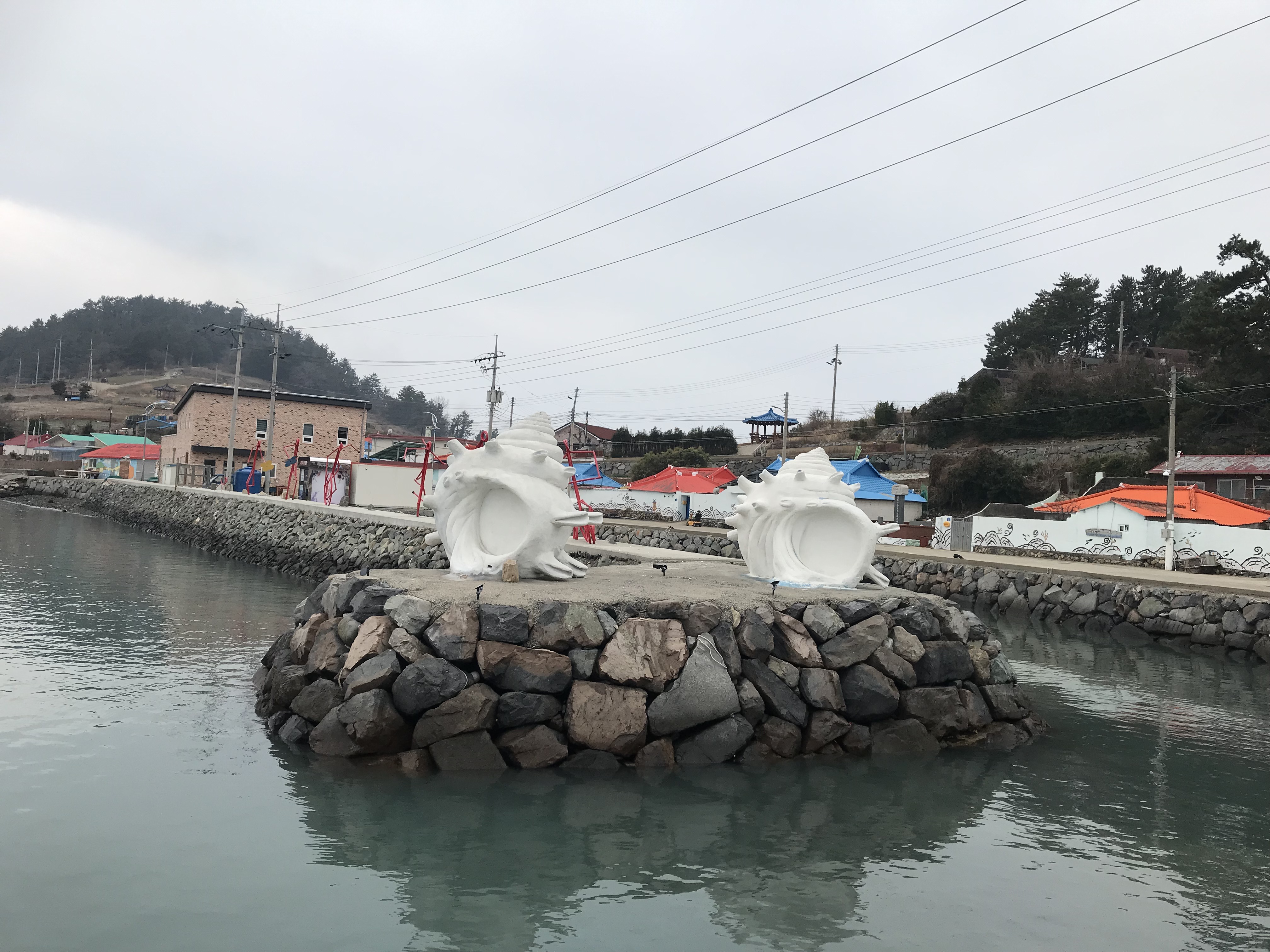 연홍도 입도를 하면 바로 보이는 뿔소라 사진