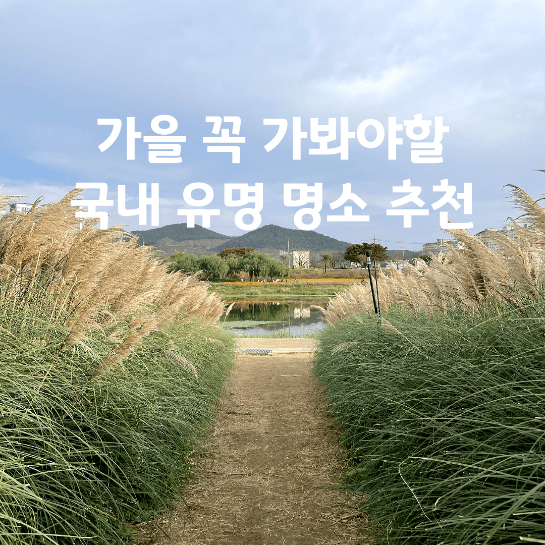 가을 가볼만한곳
