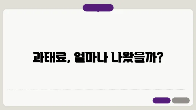 민원24 주정차 위반 과태료 조회