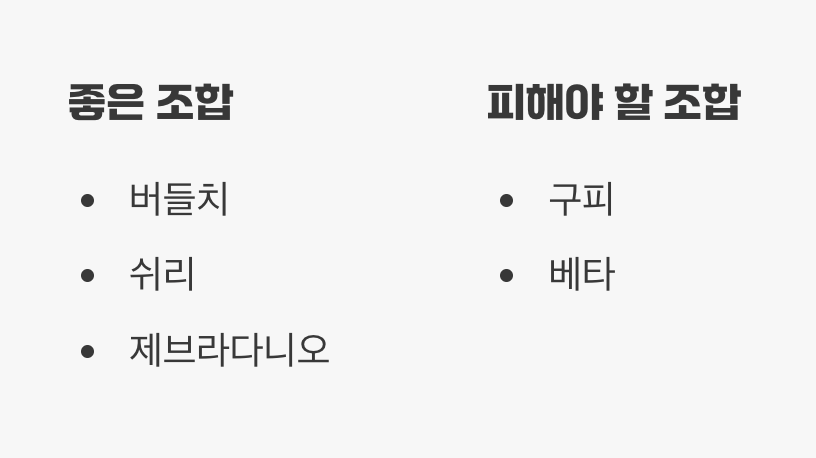함께하면 좋은 '계곡 친구들'