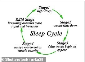 수면 중의 빠른 눈의 움직임... 무작위 아닌 뇌에 의해 창조된 꿈의 세계 VIDEO: Neuroscience: Advanced imaging gives insight into sleeping neurons