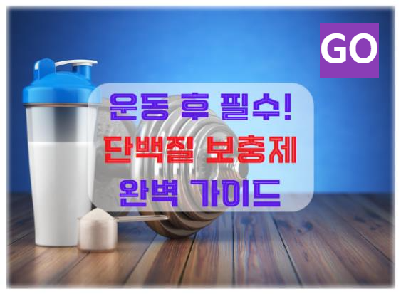 운동 후 필수! 단백질 보충제 완벽 가이드