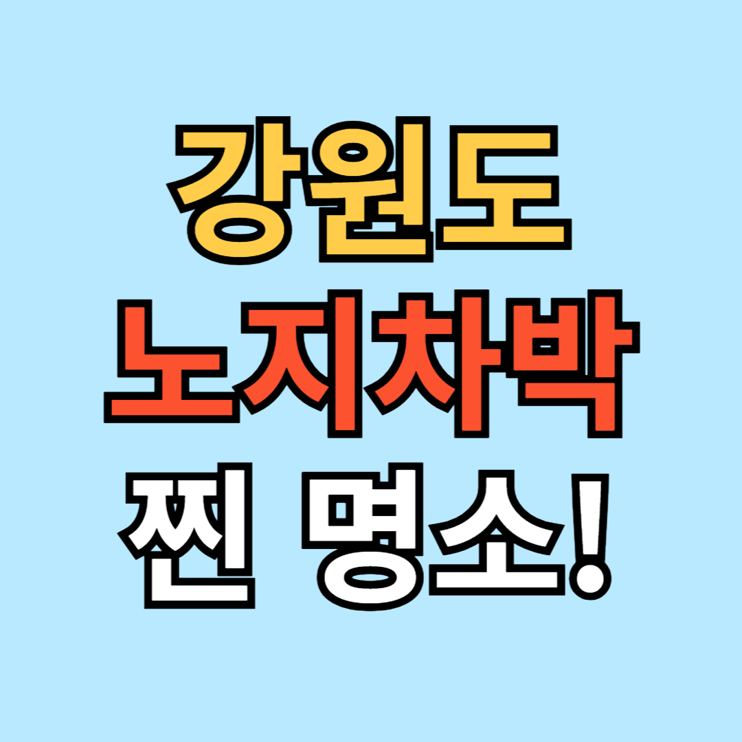 강원도 차박 성지