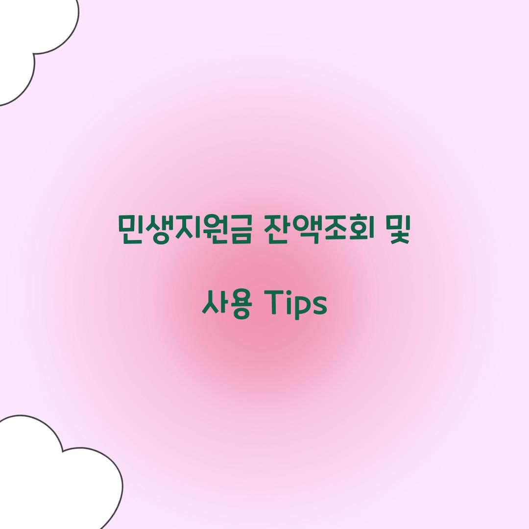 민생지원금 잔액조회