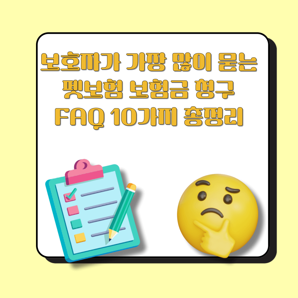 보호자가 가장 많이 묻는 펫보험 보험금 청구 FAQ 10가지 총정리