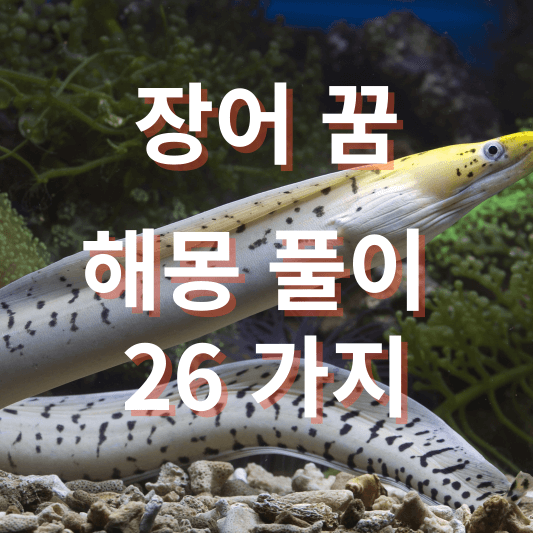 장어 꿈해몽 풀이