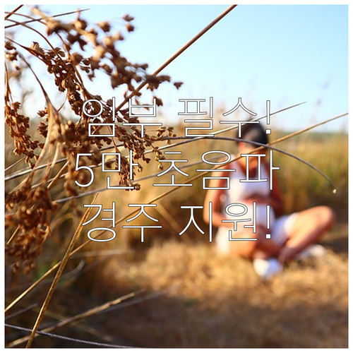 5만원 상당 혜택 경주시 2025 임..