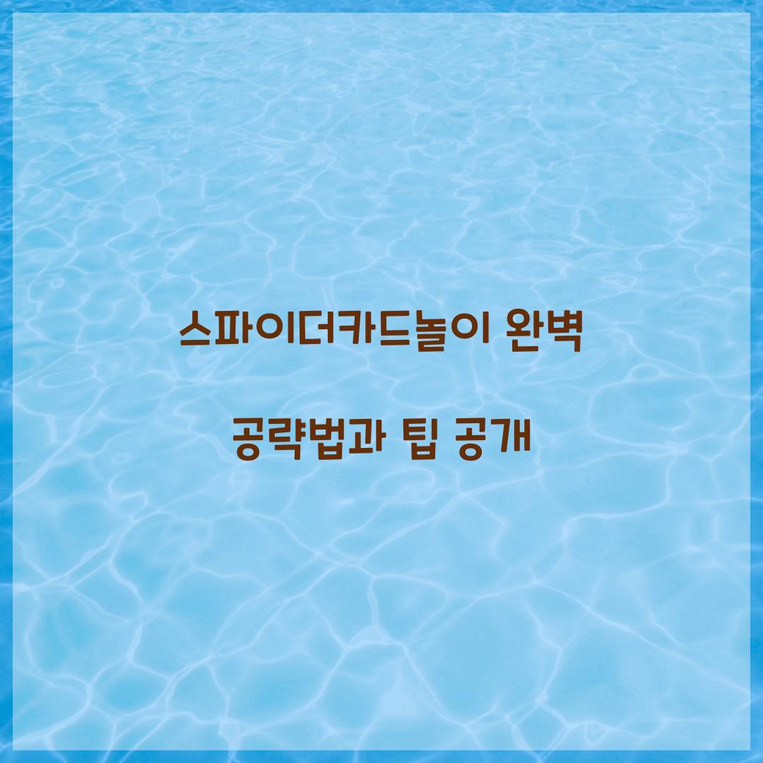 스파이더카드놀이