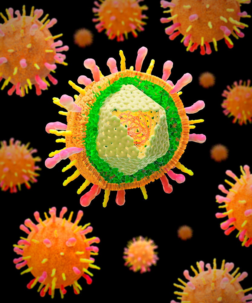 대상포진 바이러스