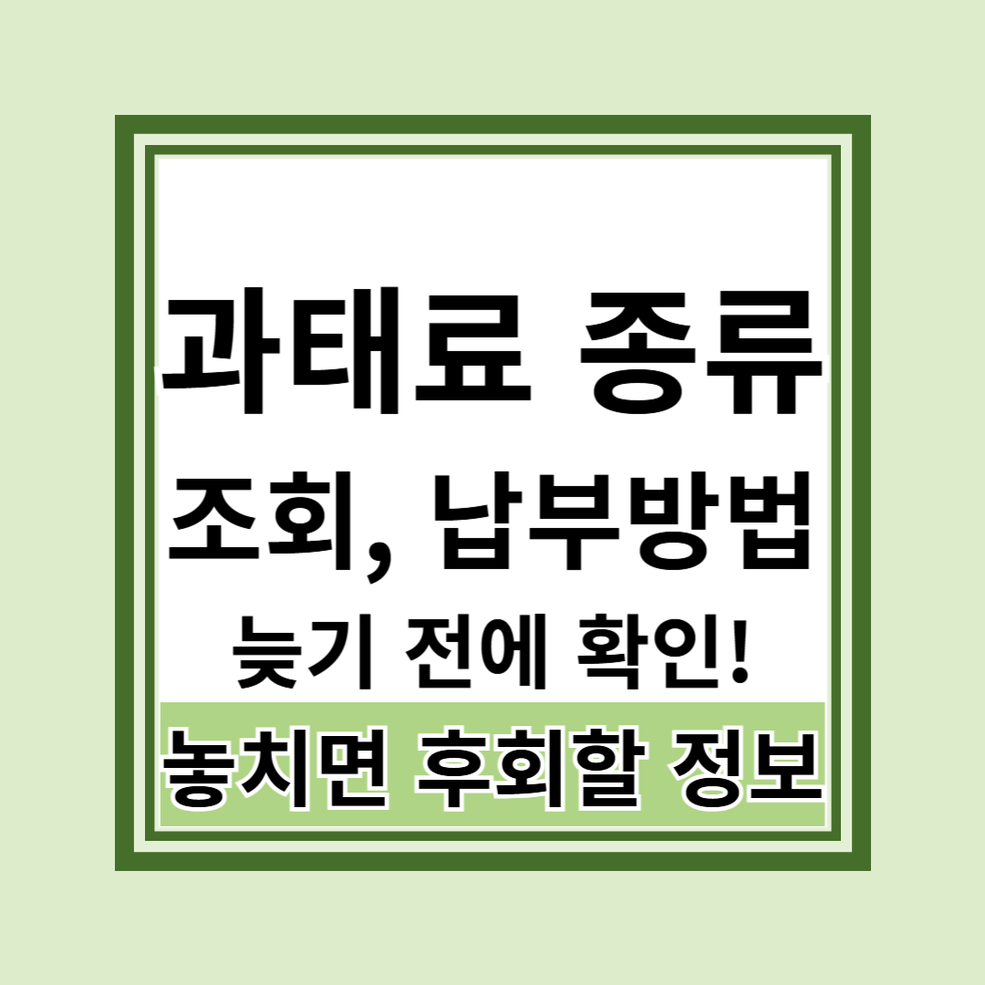 과태료 종류 조회 납부 확인방법 총정리