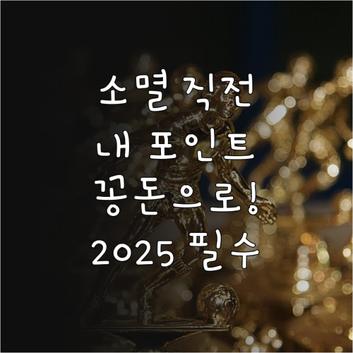 소멸 예정 카드 포인트 현금화 202..