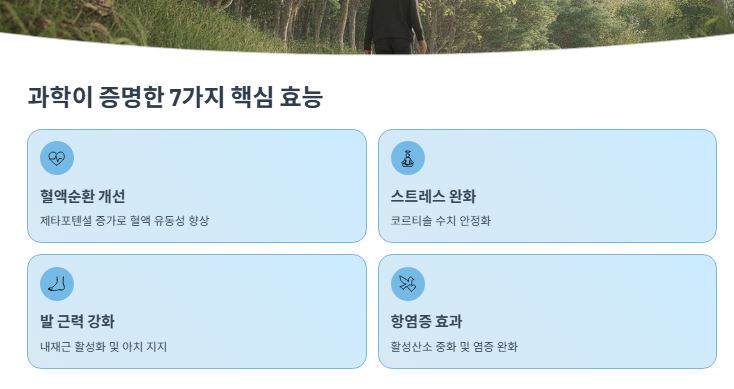 효능