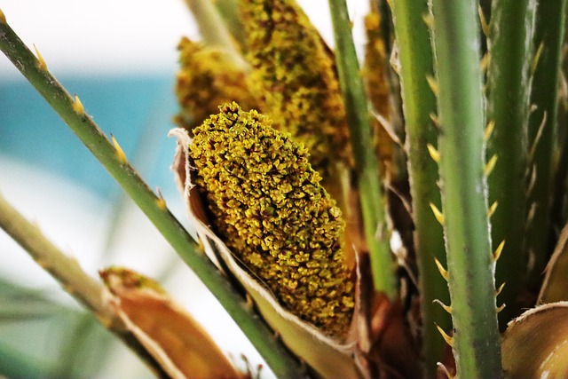 희귀한 열대 식물 재배법: 고온 다습한 환경에서 자라는 식물들