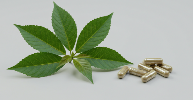 시서스 식물의 잎과 시서스 추출물 캡슐