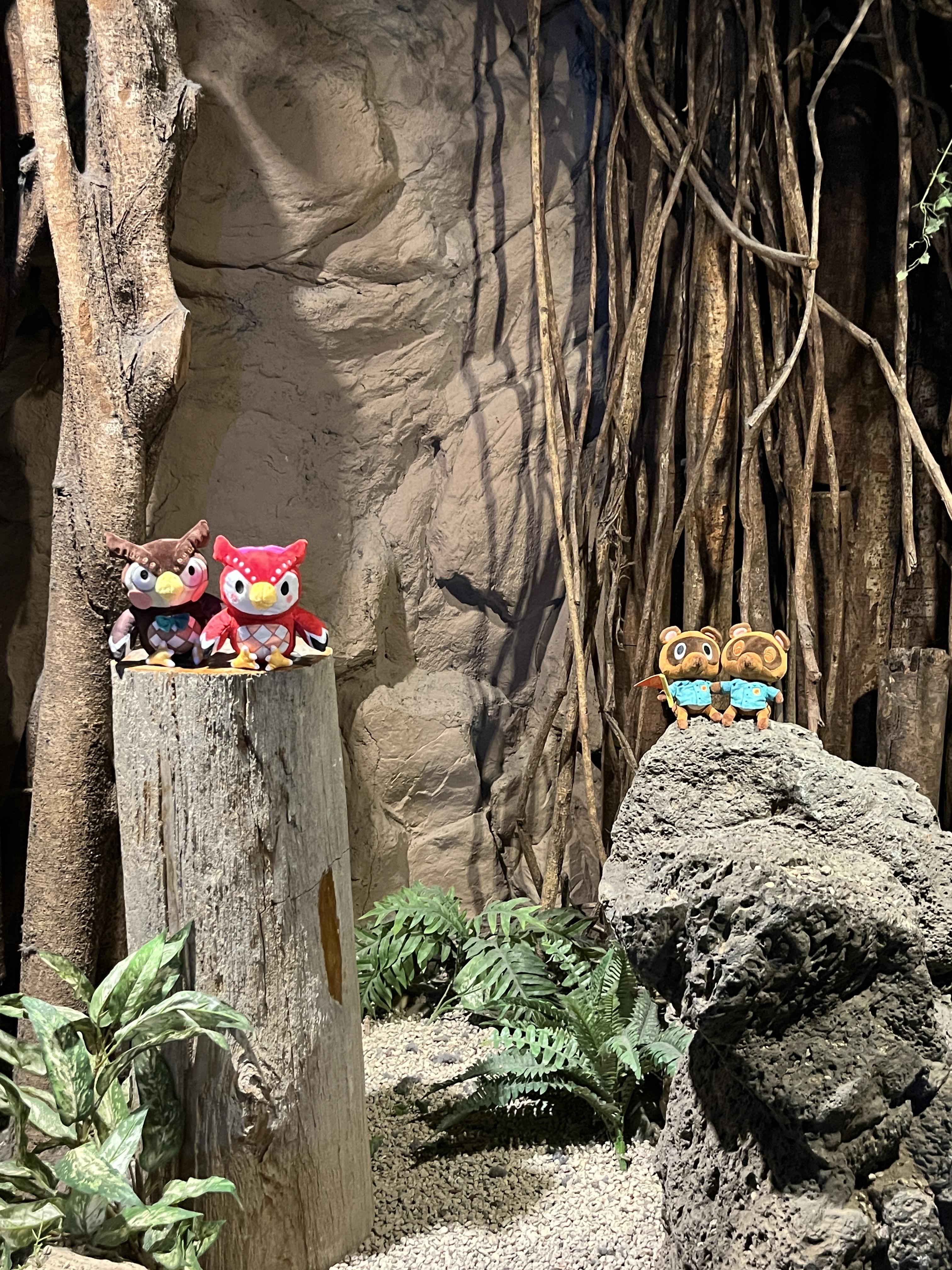 코엑스 아쿠아리움 동물의숲