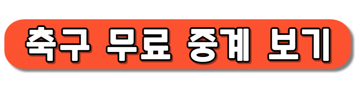 월드컵 축구 3차 예선 무료 중계 보기