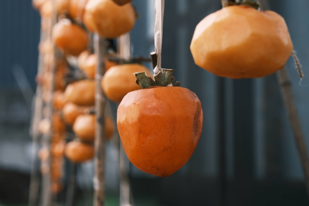 Persimmon
