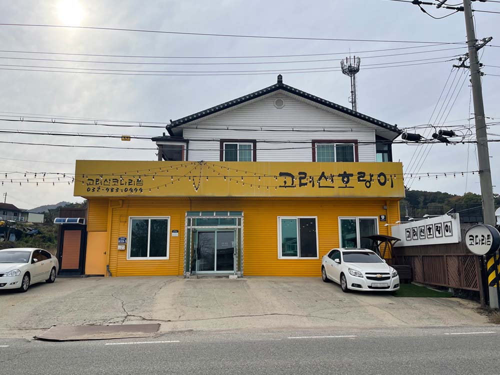 고려산 호랑이