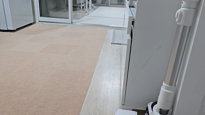 강아지를 부르자 달려오는 모습