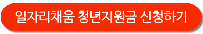 일자리채움청년지원금-신청버튼