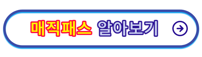 롯데월드-매직패스