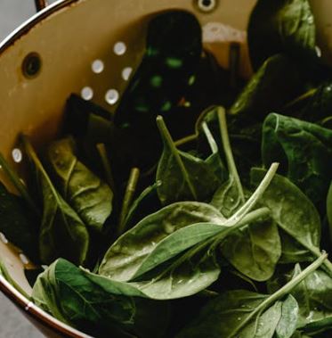 습진에 좋은 음식 10가지