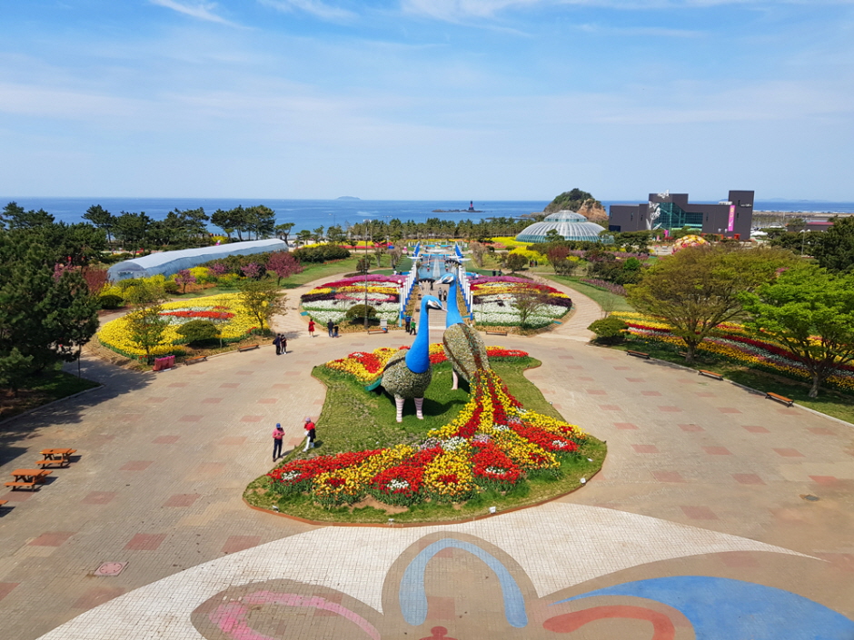 태안 세계 튤립 꽃 박람회