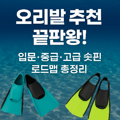 🏊 오리발 추천 끝판왕! 입문·중급·고급 숏핀 로드맵 총정리
