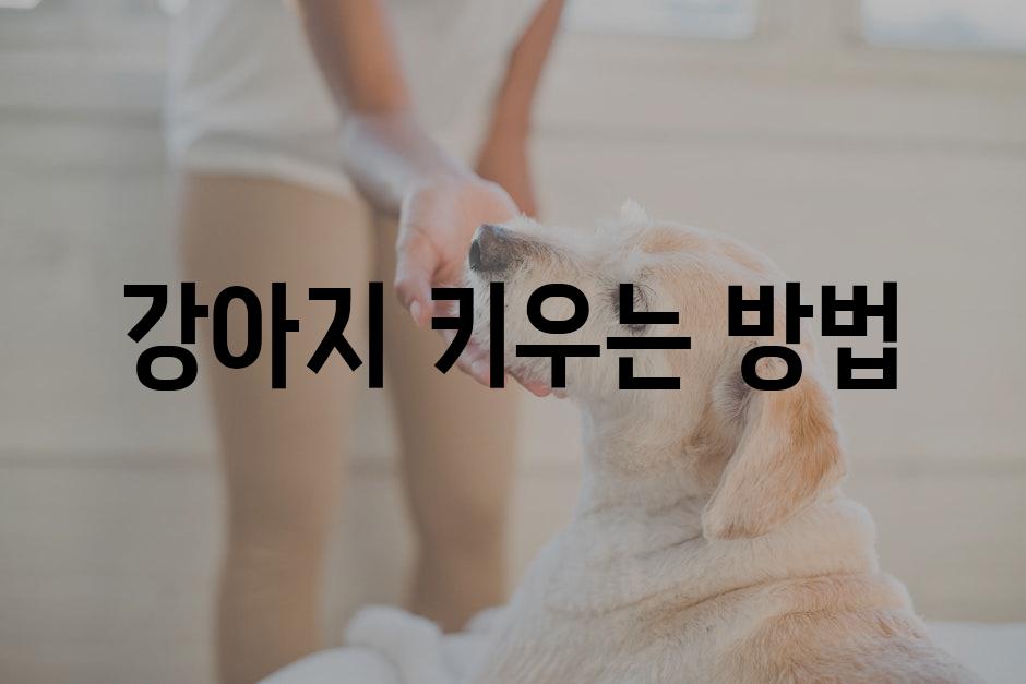 Dog care 6