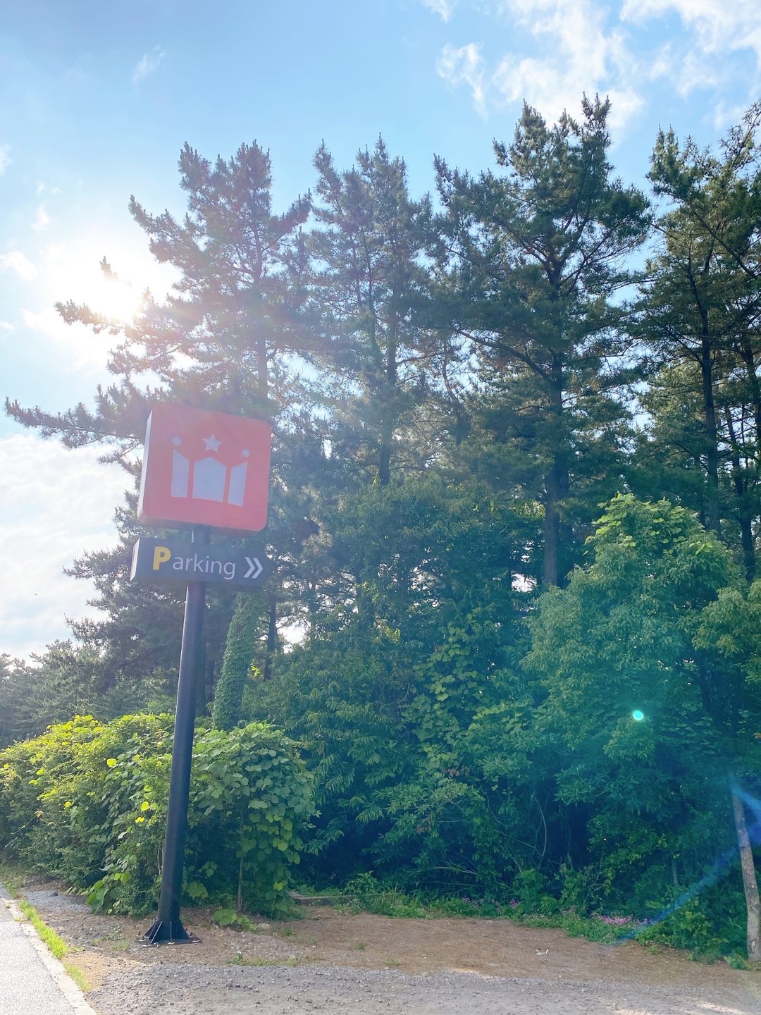 제주 애견 할리스 연북로점