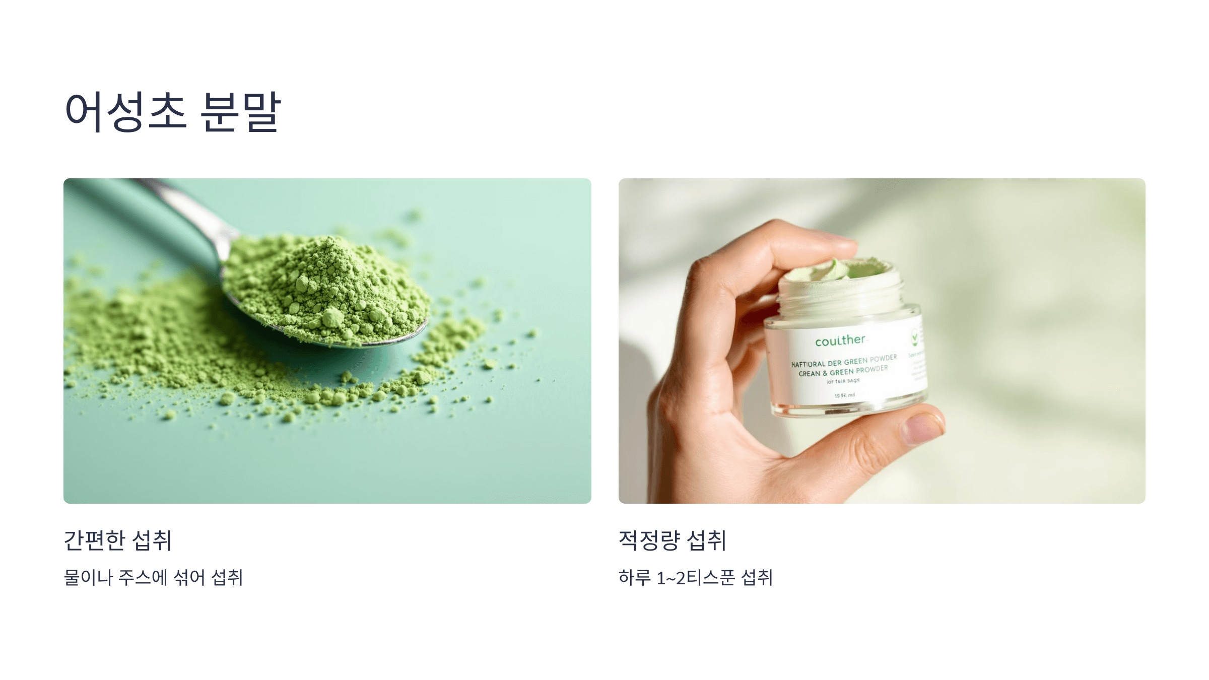 어성초 사진입니다.