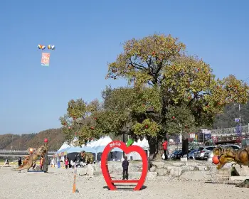 청송 사과축제_3